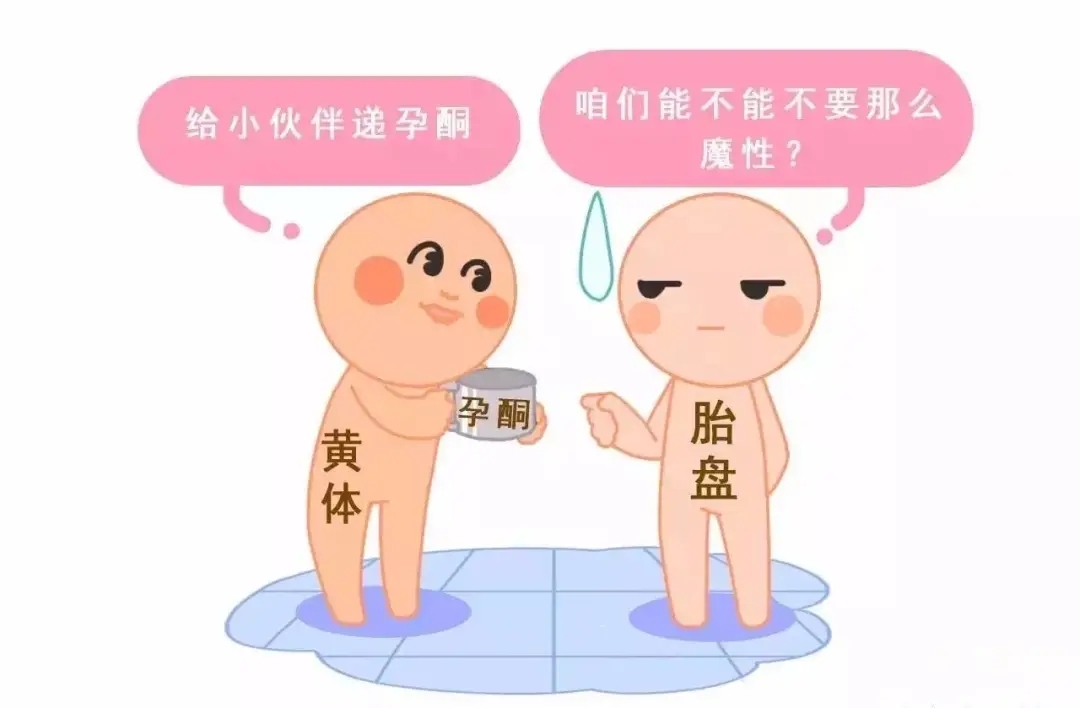 HCG和孕酮低一定會(huì)流產(chǎn)？備孕女性必須知道的孕早期“秘密”