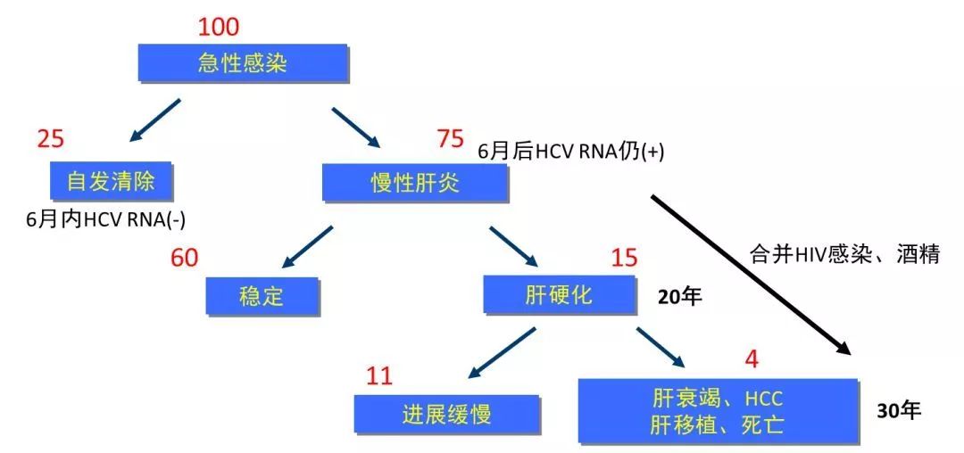 丙肝檢測(cè)的弱陽(yáng)性究竟是不是感染了丙肝？